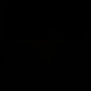 Meet your Posher, Riley